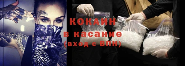 трава Осинники