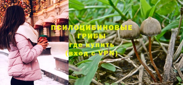 а пвп мука Осташков