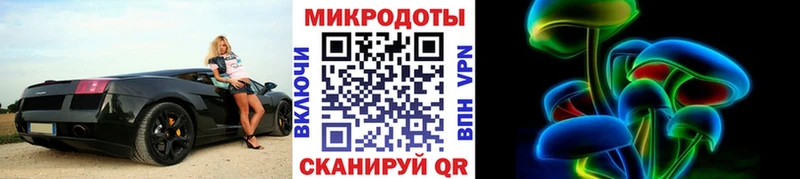 Псилоцибиновые грибы GOLDEN TEACHER  где купить наркотик  Приморск 